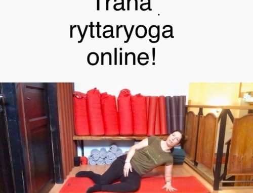 LIVE ryttaryoga online