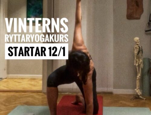 Vinterns digitala RyttarYogaKurs